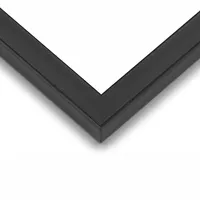 Negro